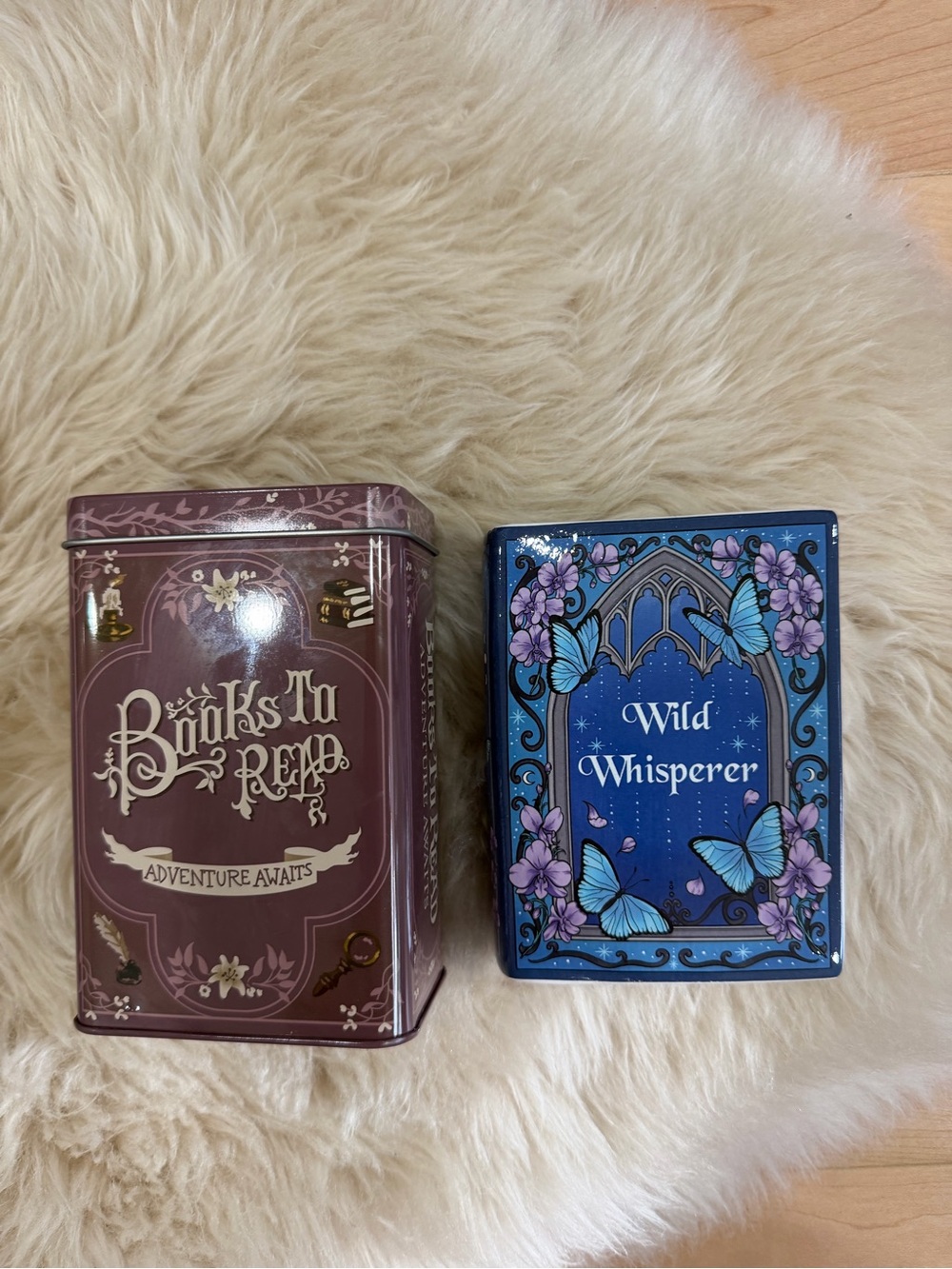 Fairyloot Bookish Items, Coin Holder and Decorative Pot